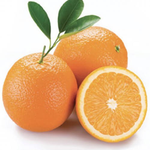Jaffa Orange Plant - GO GREEN
