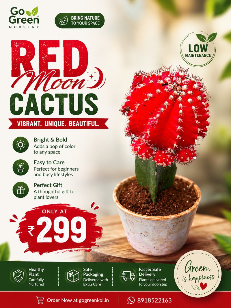 Red Moon Cactus