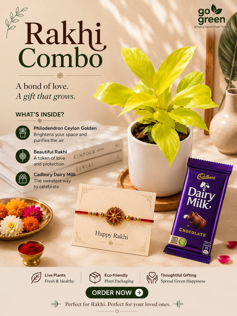 Rakhi Combo 7