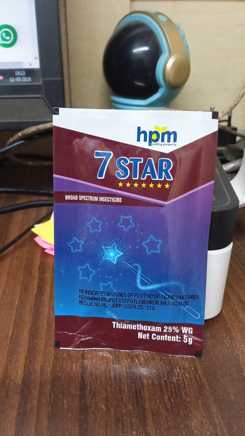 7 Star (5gm)