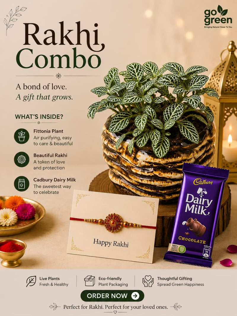 Rakhi Combo 6