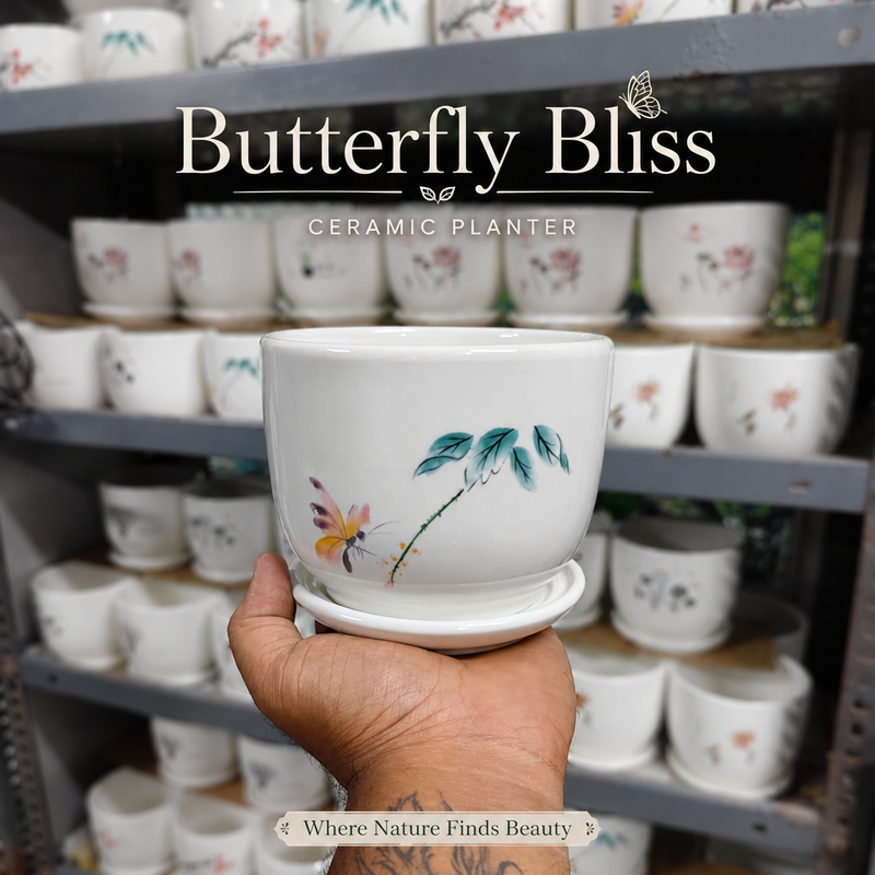 Butterfly Bliss