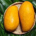 Mallika mango grafted