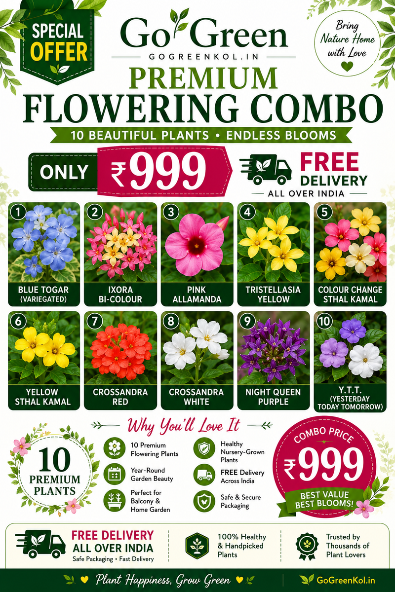 Go Green Premium Flowering Combo – 10 Plants