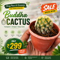 Buddha Cactus