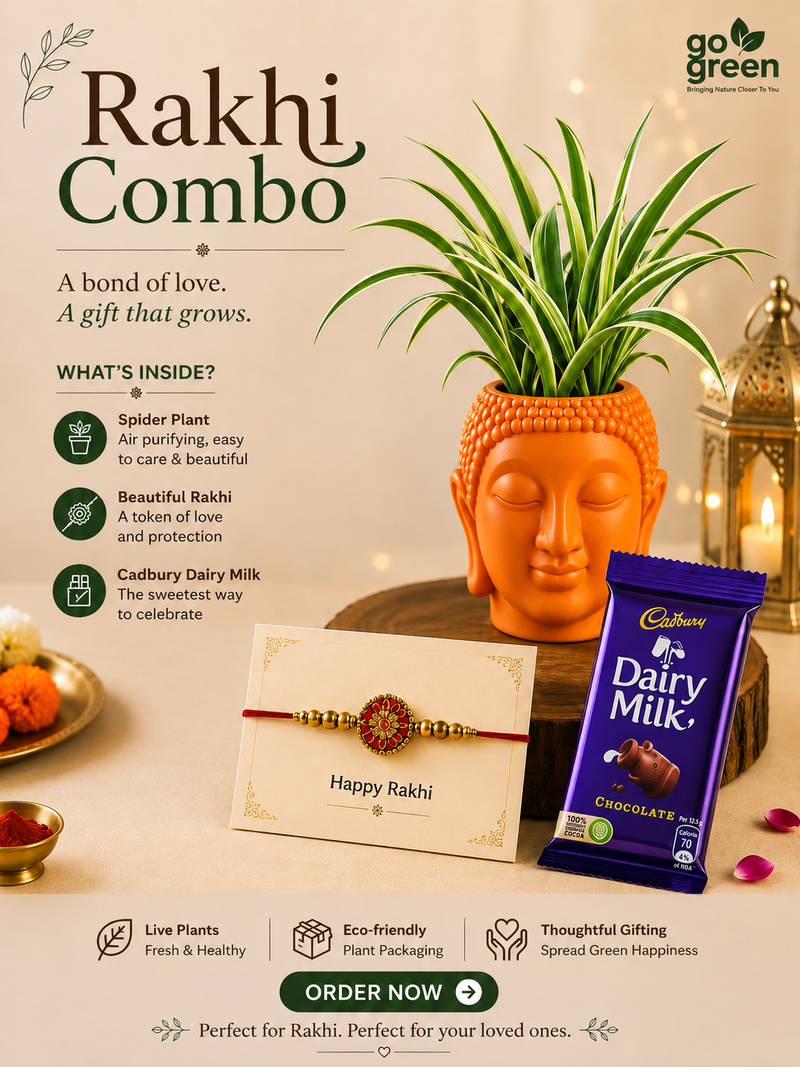 Rakhi Combo 8