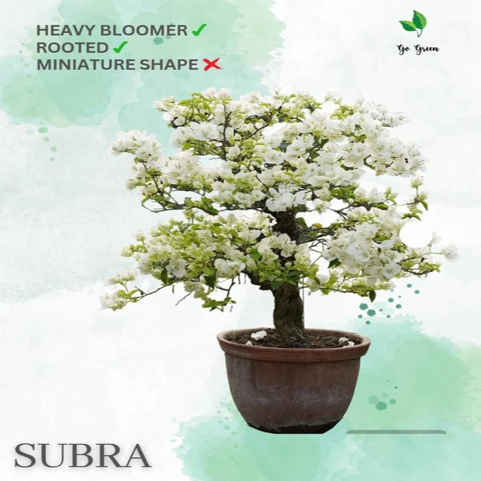 Subhra - GO GREEN